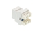 Picture of CAT6 SpeedTerm™ Keystone Jack 180 Degree 110 UTP - White