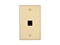 Picture of 1 Port Keystone Faceplate - Single Gang - Ivory